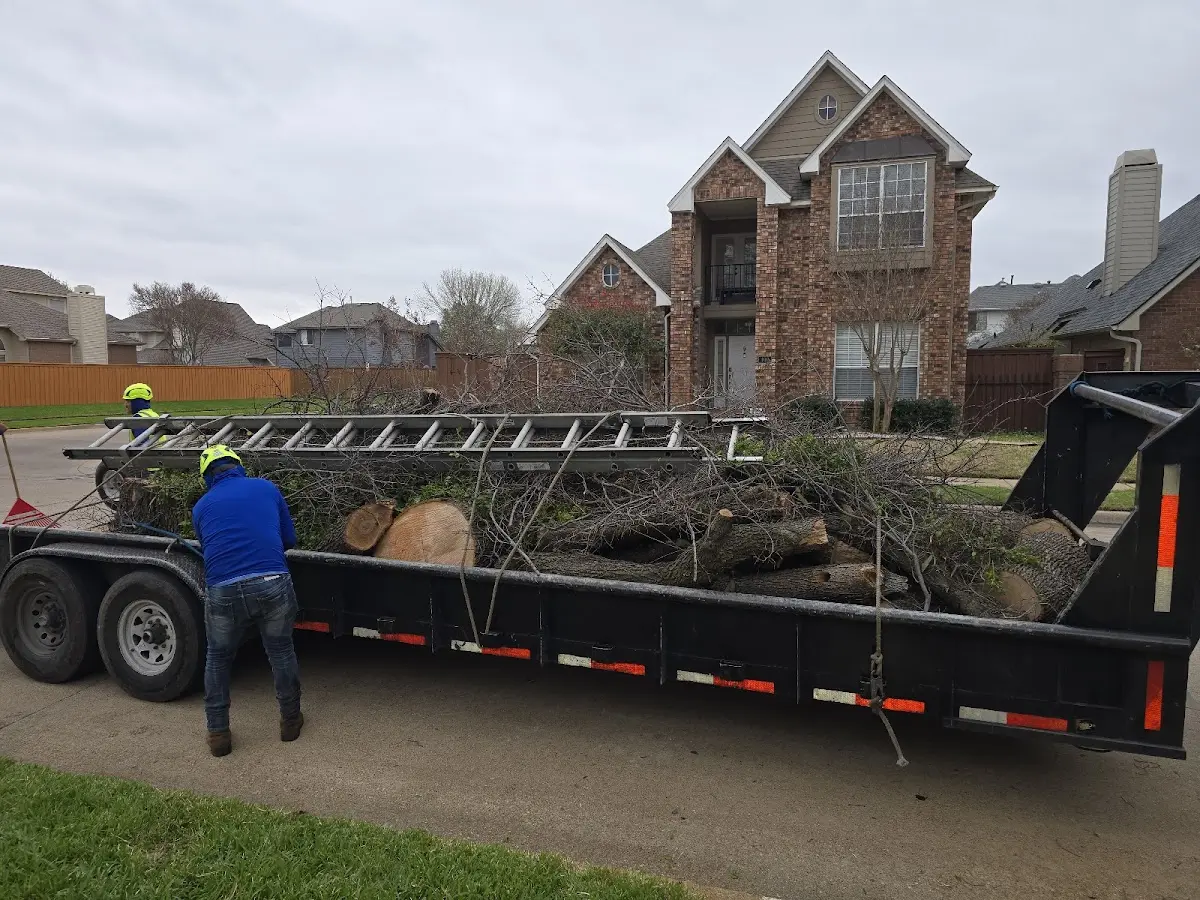 Expert Tree Pest Control with proper safety equipment in Dunstable